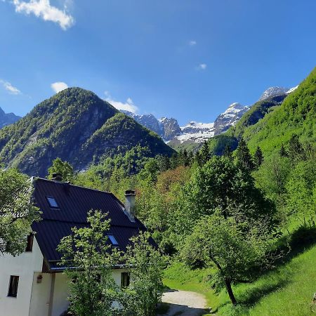 Apartment Pretner, Lepena Soca Bagian luar foto